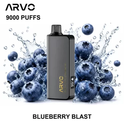 ARVO 9000 PUFFS – Blueberry Blast - Ozvapeone (14B6EC)
