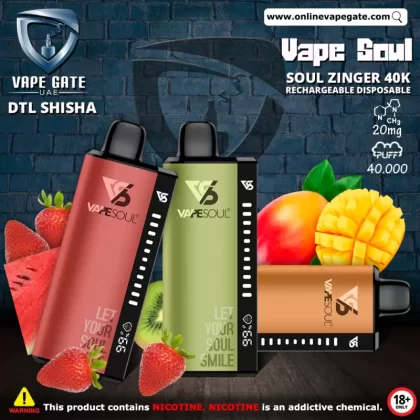 Vape Soul Zinger 40K Rechargeable Disposable Vape (40,000 Puffs) - Watermelon Ice / 20 mg