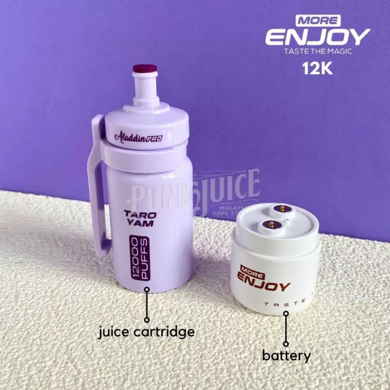 Aladdin Enjoy Disposable 12000 Puff Starter Kit - Vapeandgo Com My