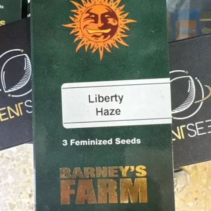 Liberty Haze – 3 Semi Femminizzati – Barney’s Farm