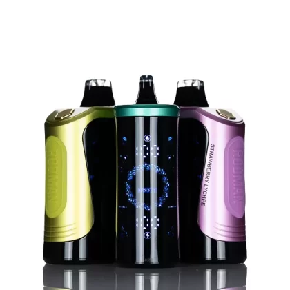RODMAN MVP 65K 65000 Puffs Disposable Vape - Cool Mint