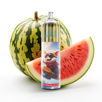 JNR Rocket-X 12400 Puffs Disposable Vape Sandía Helada, 25ml, 850mAh, Tipo-C