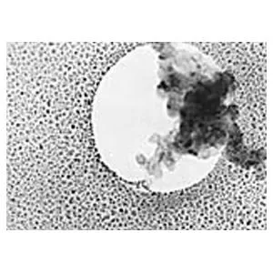 Combined TEM Test Specimen - Gold / Graphitized Carbon