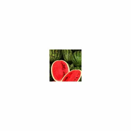 Crisp Clean Watermelon TFA Natural Flavor - Bangvapeaustralia