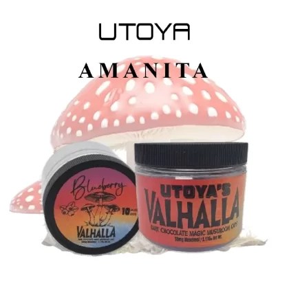 Utoya Amanita Mushroom Chocolate Caps - Ejuicewarehouse