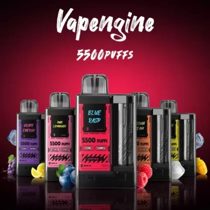 Vapengin 5500 Puffs Disposable 5 Pack