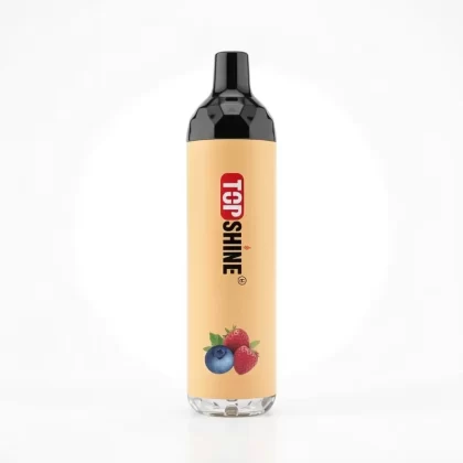 Topshine Single Disposable 4500 Caladas 10mL Recargable