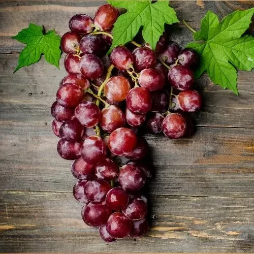 Grape Flavour – VAPE Picker