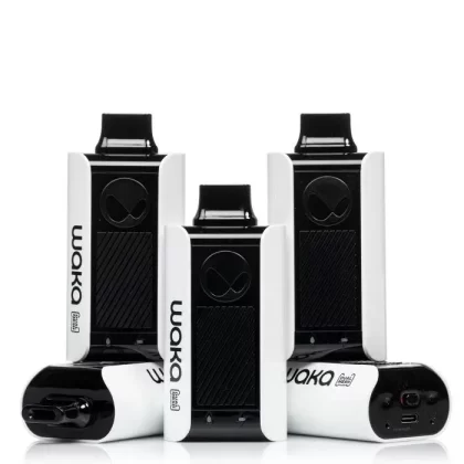 Waka Sopro Kit 10000 Puffs (10pcs/pack)