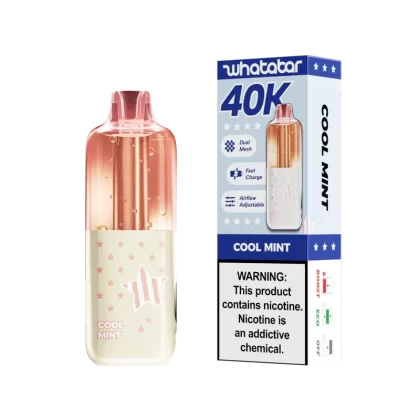 Whatabar Linko 40K – Cool Mint Disposable Vape