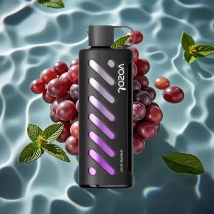 VOZOL Gear Shisha 25000 Puffs Dual Mesh Grape Mint Disposable Vape with S.i.L.C Tech - Bangvapeaustralia