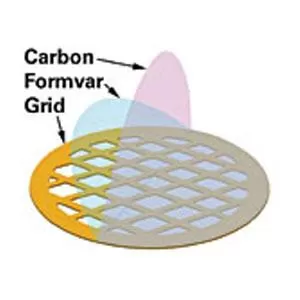 Carbon Type B (15-25nm) with Formvar
