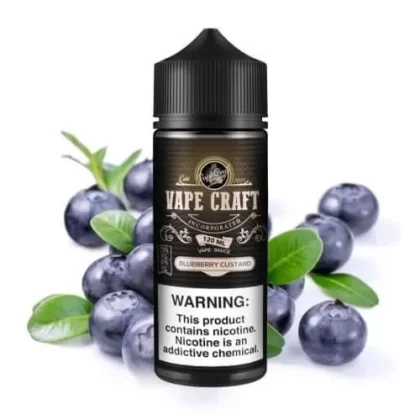 Blueberry Custard - Vape Product, Vape Product; Vape Product, Vape Product (84A3D4)