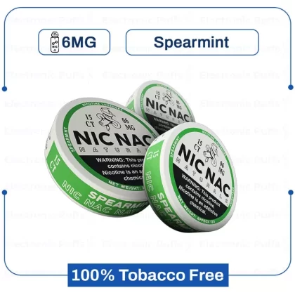 Buy Nic Nac Spearmint 6MG Nicotine Pouch Online | Nic Mints