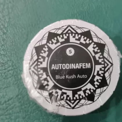 Blue Kush Auto x5 – Dinafem