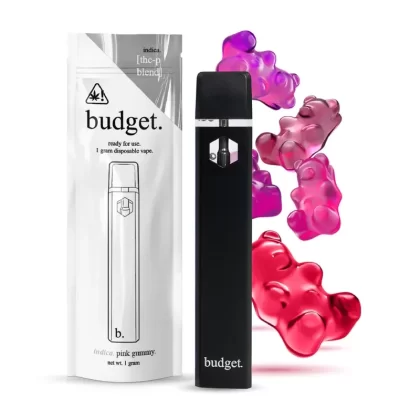 Budget THC-P Vaporizer – 1000mg