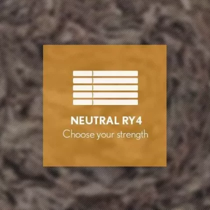 RY4 By Blast E-Liquid 10ml - 6mg