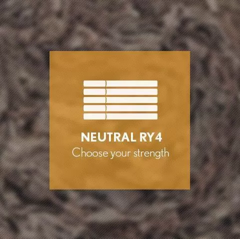 RY4 By Blast E-Liquid 10ml - 6mg