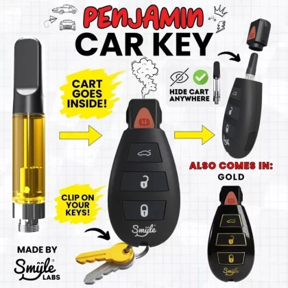 Penjamin Hidden Battery Car Key - Vape Store