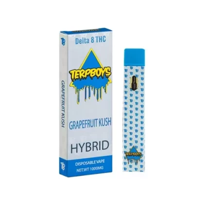 Terpboys Hybrid Delta 8 THC Disposable Vape Device – 1PC
