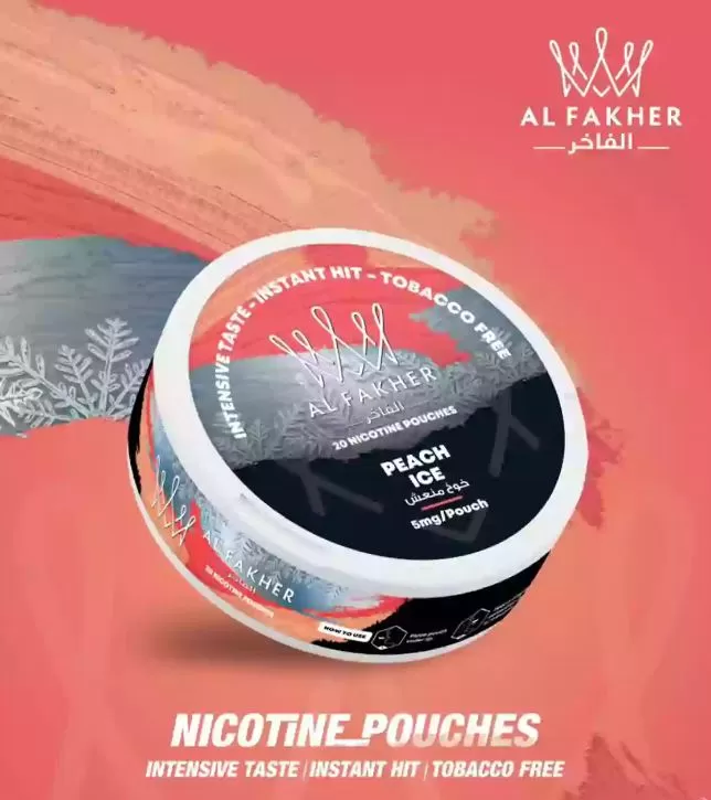 Al Fakher Nicotine Pouches - Gum Mint / 20 mg