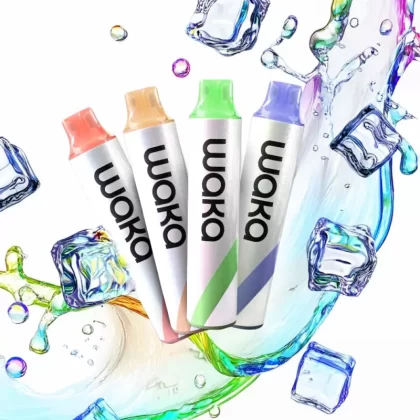 Waka GO 10000 - Fresh Mint