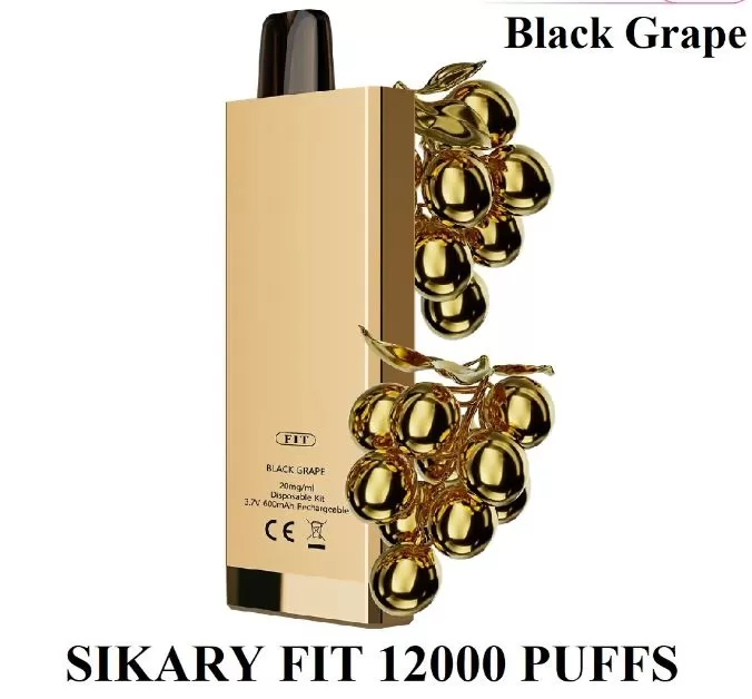 Sikary Fit Rechargeable Disposable Vape (12,000 Puffs) - Cheesecake / 20 mg - Image 2