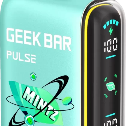 Geek Bar Pulse 15000 Puffs Disposable Vape - Black Mintz