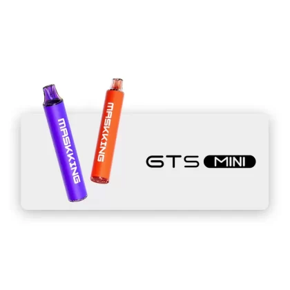 Maskking GTS MINI Pod System
