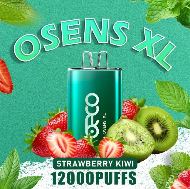 Beco Osens XL Disposable Vape (12,000 Puffs) - 20 mg / Cool Mint - Image 2