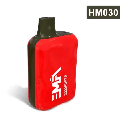 Box-style Disposable Vape 450mAh 5000puffs-HM030