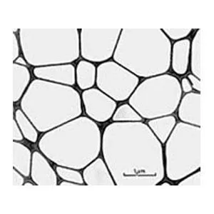 PELCO NetMesh™ Lacey Formvar stabilized with Silicon Monoxide