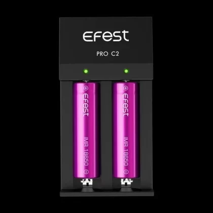 Efest Pro C2 Charger - Vapecraftinc