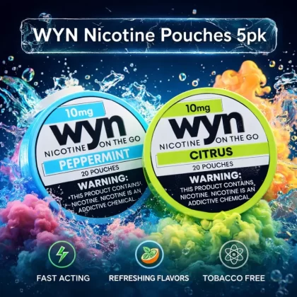 WYN Nicotine Pouches 5pk - Wintergreen / 14mg - Vapeciga