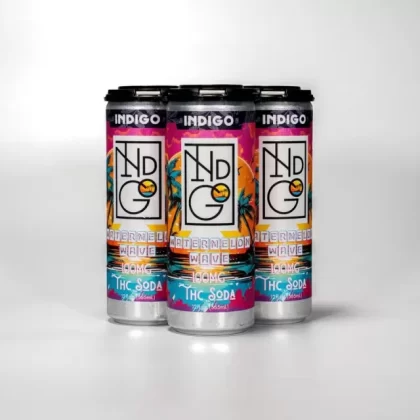 NEW! Indigo Watermelon Wave Soda 100mg D9- Case of 24