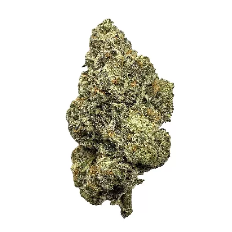 Top Shelf Mango Mentality THCa Flower