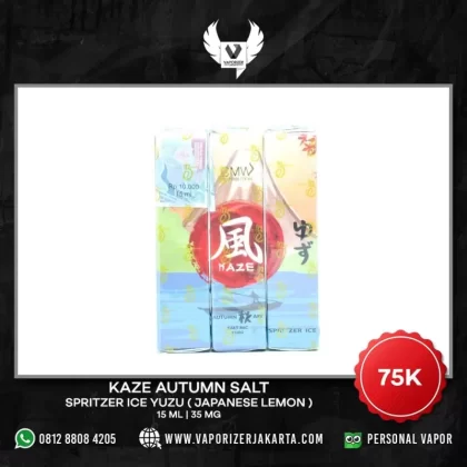KAZE SALT SPRINTZER ICE FUYU 15 ML - 35 mg / 15 ml