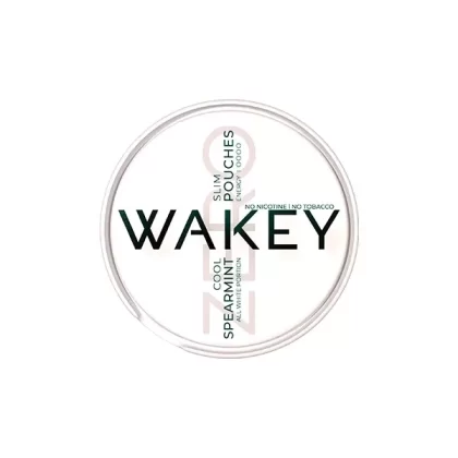 Wakey Zero Cool Spearmint Nikotinfreie Beutel – 20 erfrischende Beutel - Ejuicewarehouse