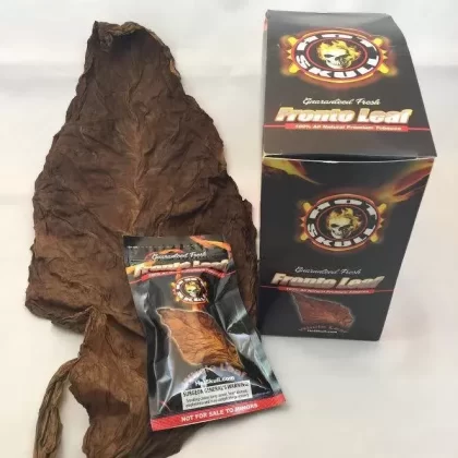 Hot Skull Fronto Leaf Tobacco