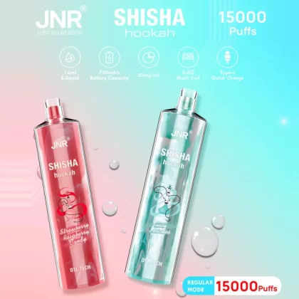 JNR Shisha Hookah 15K Disposable E-Hookah - 15000 Puffs - Double Apple