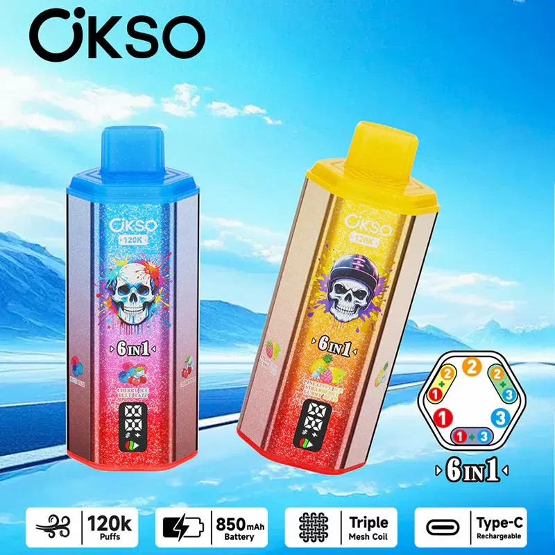 OKSO 6 in 1 120K – 120K Puffs 3*Mesh Coil 60ml E-Liquid Disposable Vape