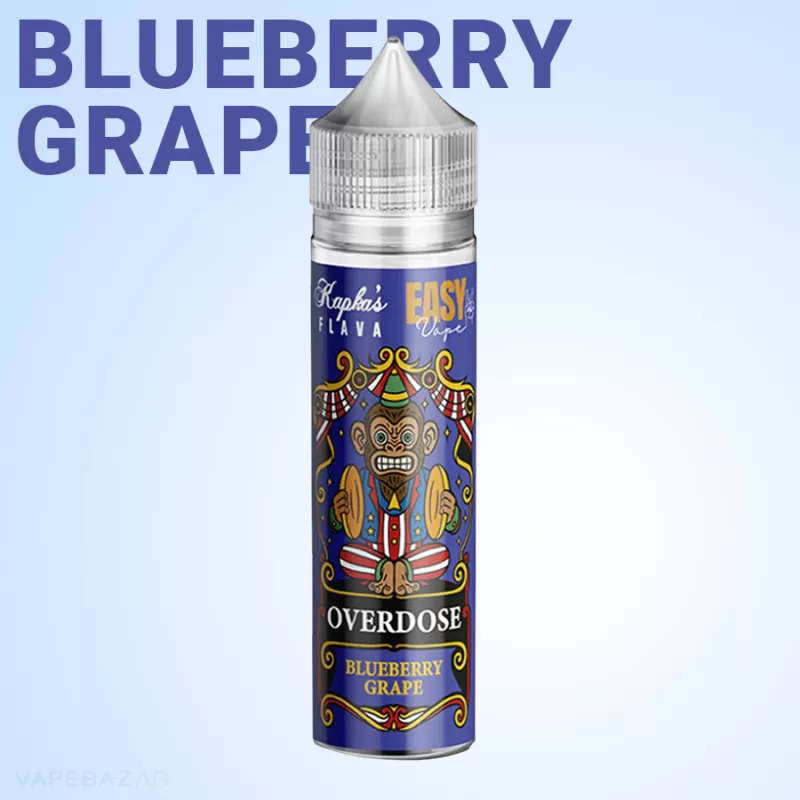 Kapkas Flava x Easy2Vape Longfill – Blueberry Grape - Traube / Blaubeere - Image 2