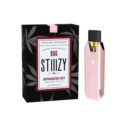 STIIIZY BIIIG Vaporizer Advanced Kit Battery - Silver Edition