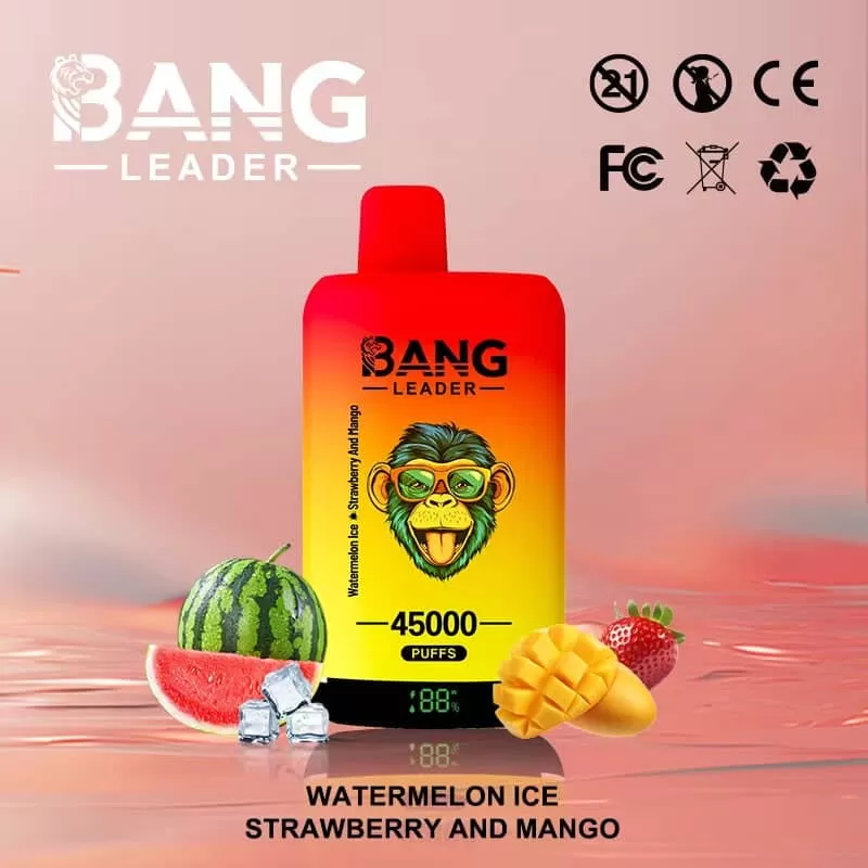 Bang Leader 45000 – 45K Puffs 0-5% Nicotine Dual Mesh Coils Disposable Vape - 45000 puffs; Vape Product, Vape Product; Blueberry Ice & Black Dragon Ice, Blueberry Ice & Strawberry Banana - Image 2