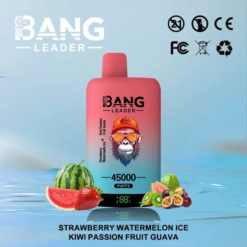 Bang Leader 45000 – 45K Puffs 0-5% Nicotine Dual Mesh Coils Disposable Vape - 45000 puffs; Vape Product, Vape Product; Blueberry Ice & Black Dragon Ice, Blueberry Ice & Strawberry Banana - Image 3
