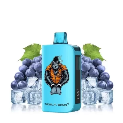 Tesla Bar by Teslacigs – Grape Ice 10,000 Puff Rechargeable Disposable