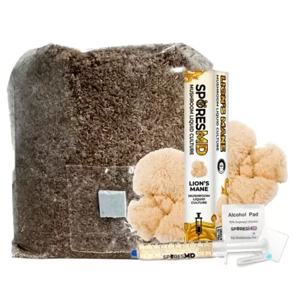 SporesMD Functional Mushroom Kit – Lions Mane - Vape Store