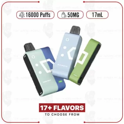 SW16000 Pod 16000 Puffs Disposable