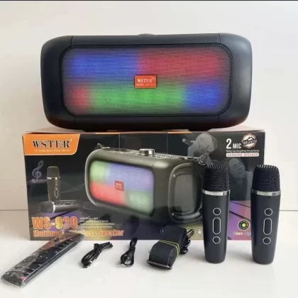 WSTER Karaoke WS-920 30W RGB LED Bluetooth Party Speaker + 2 Wireless Mics