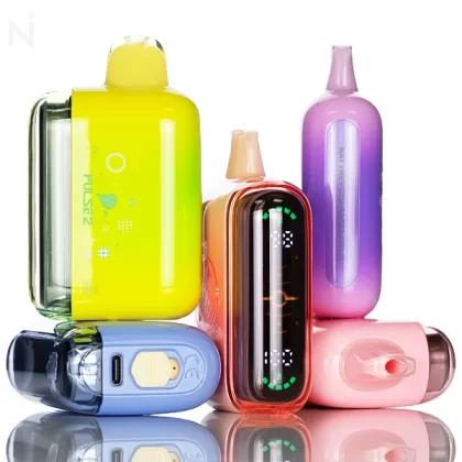 Geek Bar Pulse 2 25K 25,000 Puffs Disposable Vape - 18mL - Miami Mint